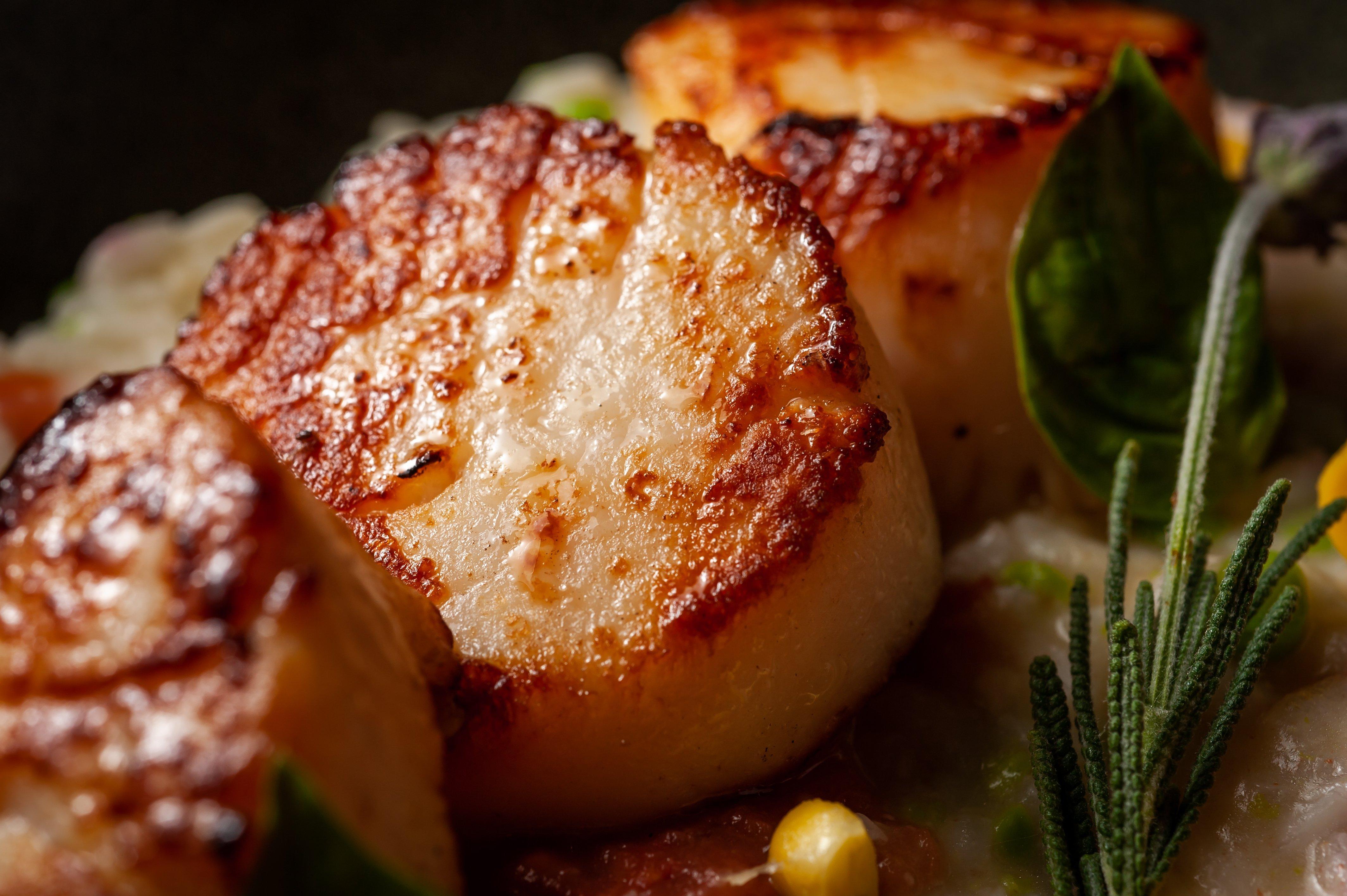 โรงแรมคิมป์ตัน เอพิก ไมอามี ภายนอก รูปภาพ Pan-seared scallops